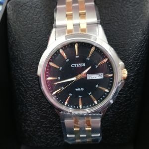 Citizens Men Watch